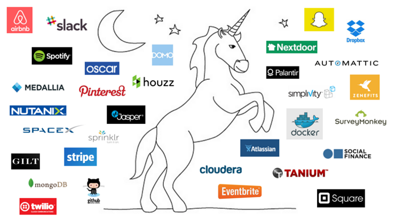 The Unusual Case of Unicorns: Companies Thriving Sans Funding for Over Three Years