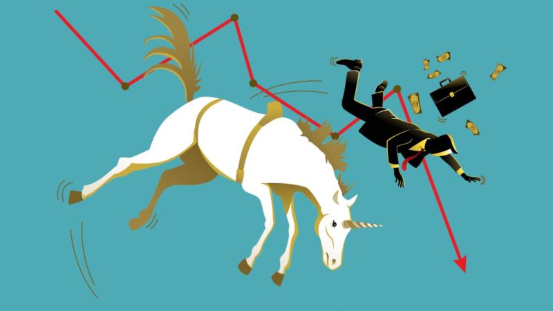 Fallen Unicorns: A Tale of Financial Strain in India and America