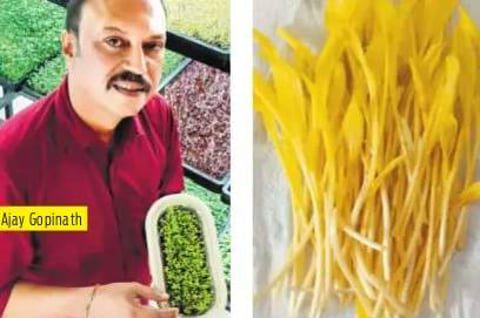 From Banking to Microgreens: Ajay Gopinath’s Entrepreneurial Journey